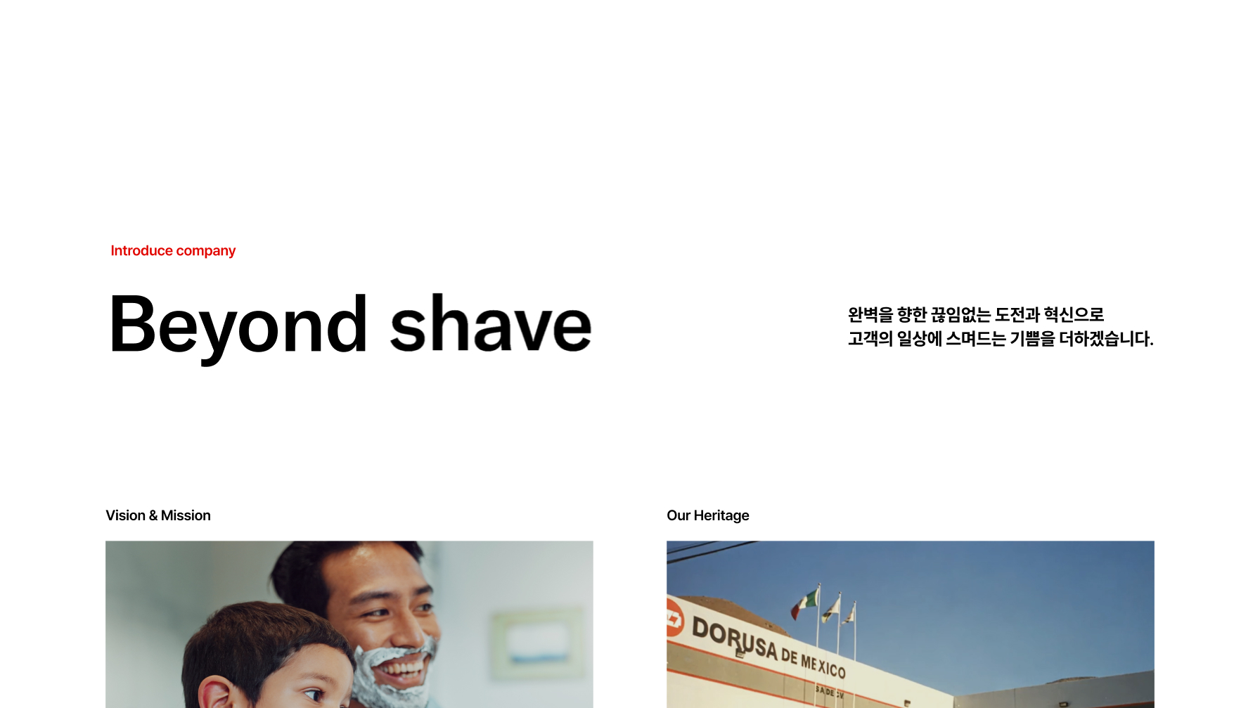도루코 웹사이트 회사 소개 화면 — Beyond shave, 비전과 연혁